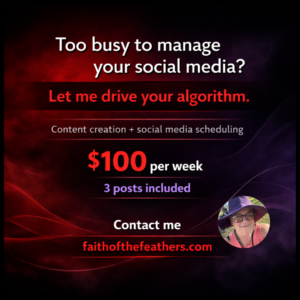 Social Media Management Services